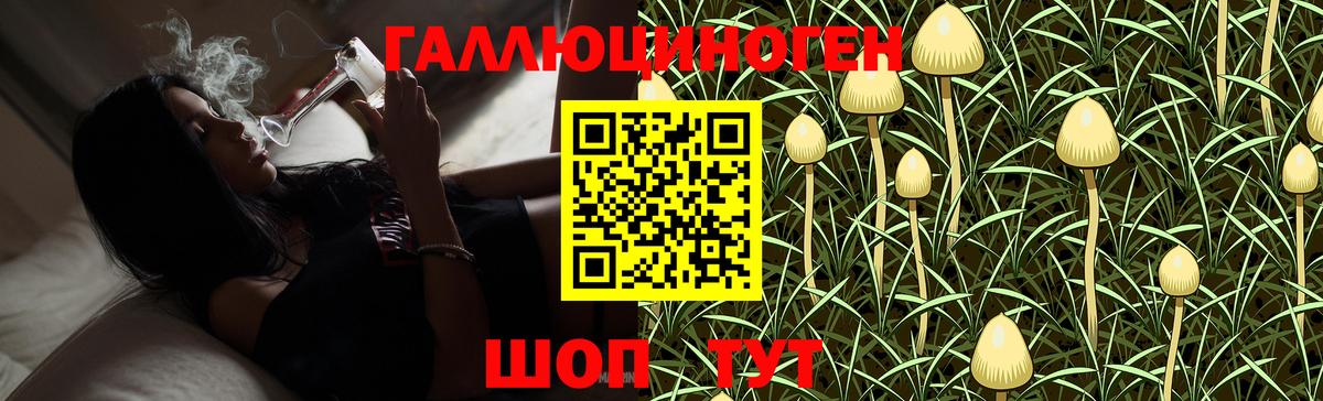 Псилоцибиновые грибы мицелий Отрадный